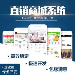 軟件開發(fā)與供應(yīng) 批發(fā)合作模式探析